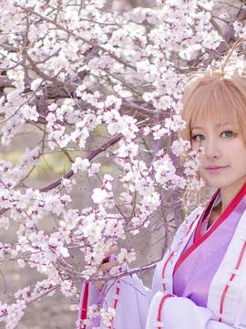 "Cánh · niên đại" Sakura Minh họa Kimono Phiên bản C O S P L A Y