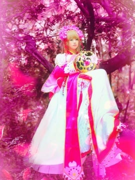 "Cánh · Chronics" Công chúa Sakura c o s p l a y