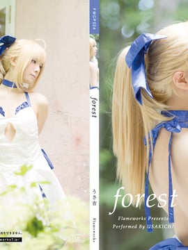 [Flameworks] Forest (Sê -ri Fate - Saber)