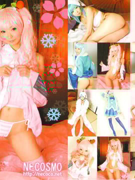 Hoa anh đào tuyết