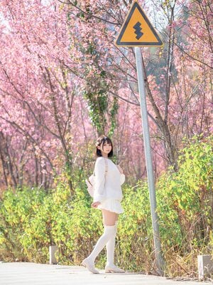 [Shizuku (Hara Mono Meow)] Sakura